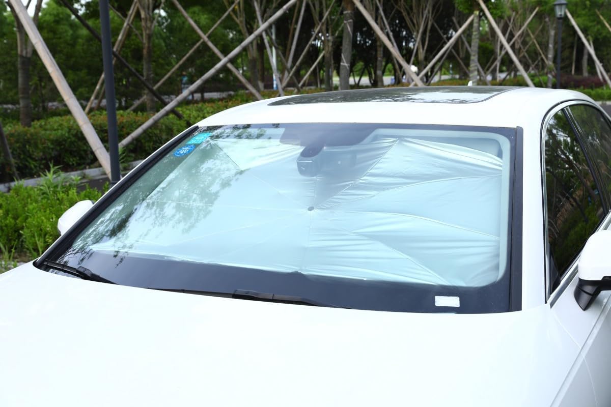 شماسة السياره